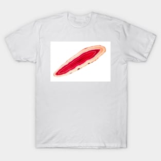 Red agate slice mineral T-Shirt